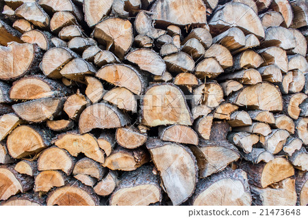 trunks cutted trunks cutted 21473648