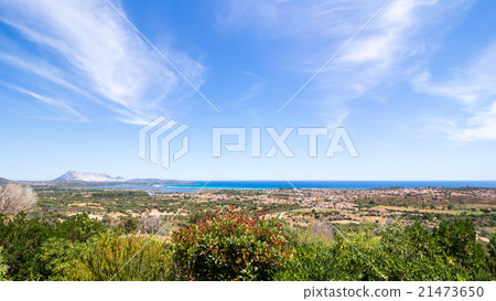 panoramic view of the coast of San Teodoro  21473650