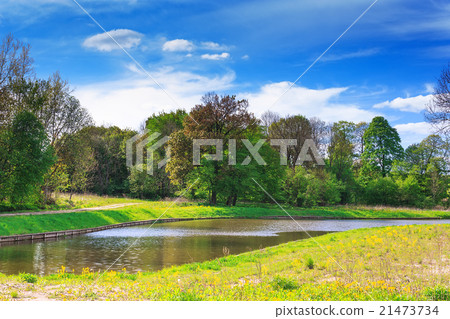 Forest on the shores of beautiful Lake 21473734