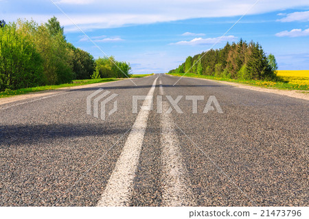 Highway through the forest Highway through the forest 21473796