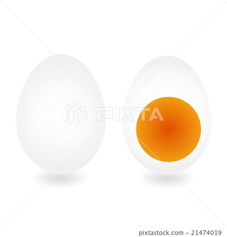 Egg (white egg) half-egg egg 1 21474019