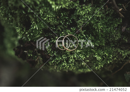 luxury wedding rings lying on the leaves and luxury wedding rings lying on the leaves and 21474052