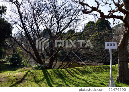 Path of the Imperial Palace of the Imperial Palace Path of the Imperial Palace of the Imperial Palace 21474390
