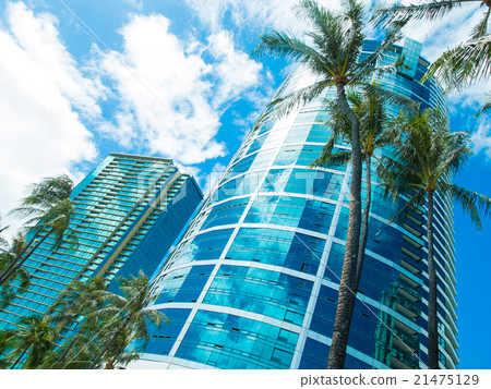 阿拉莫阿納瑙魯塔 阿拉莫阿納瑙魯塔 21475129