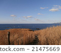 大草原和平靜的大海 21475669