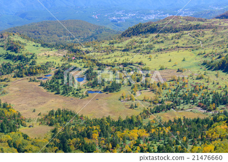 Akiyoshi Azuma 21476660