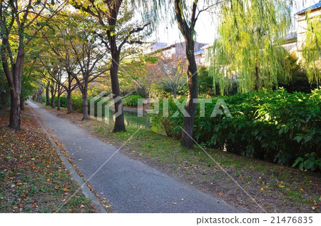 京都伏見越川長廊 京都伏見越川長廊 21476835