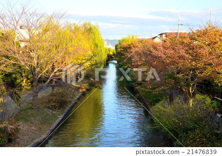 京都伏見護城河 21476839