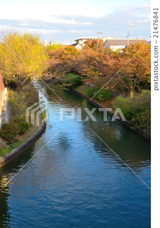 京都伏見護城河 21476841