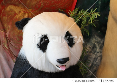 Panda Panda 21476860