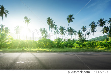 empty road in jungle of Seychelles islands empty road in jungle of Seychelles islands 21477324