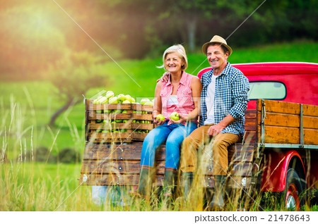 Senior couple sitting in pickup truck, apple Senior couple sitting in pickup truck, apple 21478643