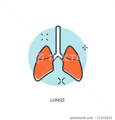 Human lung icon. Medical background. Health care Human lung icon. Medical background. Health care 21479281