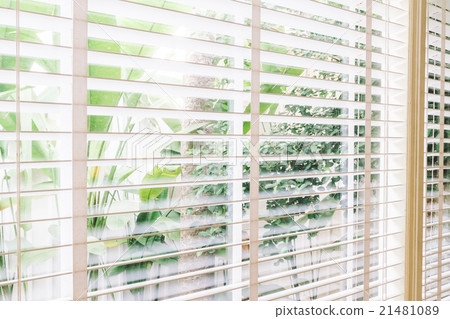 Blinds window Blinds window 21481089
