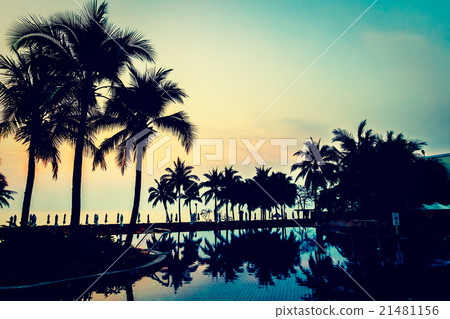 Silhouette palm tree on the swimming pool Silhouette palm tree on the swimming pool 21481156