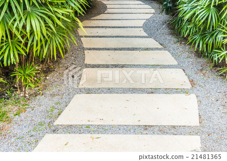 Path way in the garden 21481365