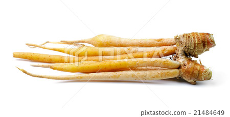 Fingerroot, Kaempfer, Boesenbergia  21484649