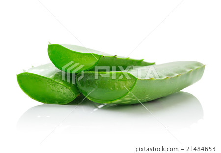 aloe vera fresh leaf. isolated over white 21484653