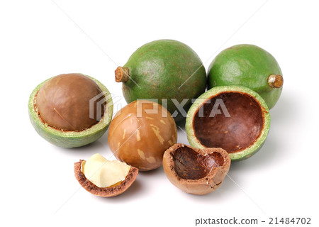 macadamia nuts on white background 21484702