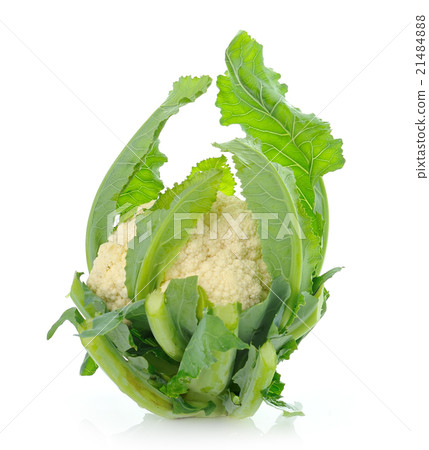 single whole cauliflower single whole cauliflower 21484888