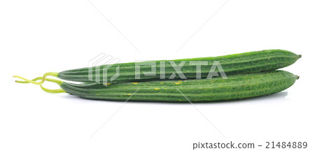Ridge gourds over white background Ridge gourds over white background 21484889