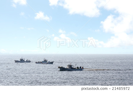 駿河灣的春天·Shirasu捕獲 駿河灣的春天·Shirasu捕獲 21485972