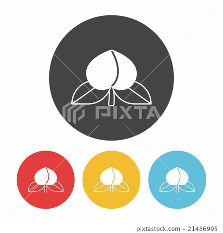 fruits peach icon fruits peach icon 21486995
