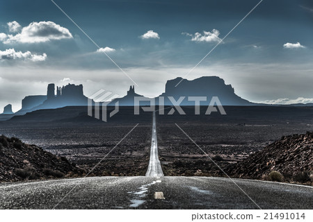 森林Gump點 21491014