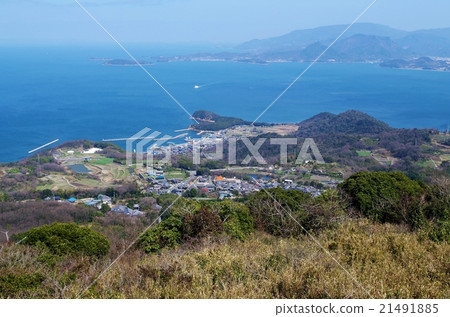 查看從丹山豐島區 21491885