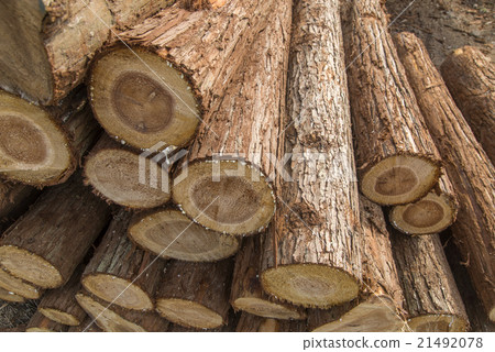 Timber stacking 21492078
