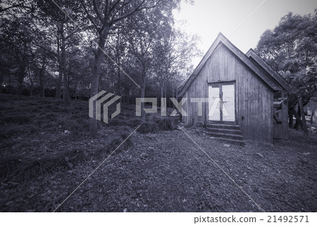 Horror Forest house 21492571