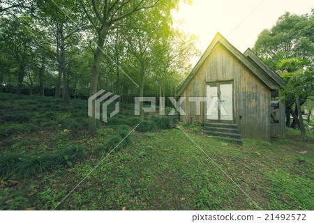Forest huts 21492572