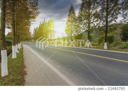 Sunset forest roads 21492795