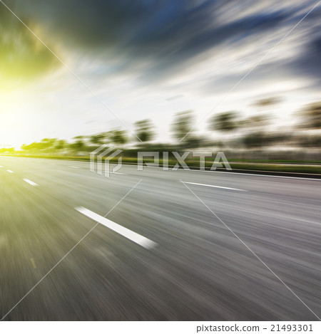 Forest road 21493301