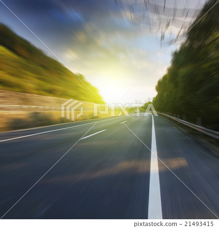 Forest road 21493415