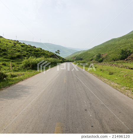 Woods road background 21496120