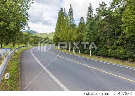 Forest road 21497888