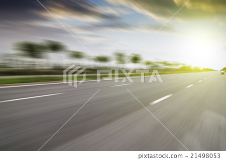 Forest road Forest road 21498053