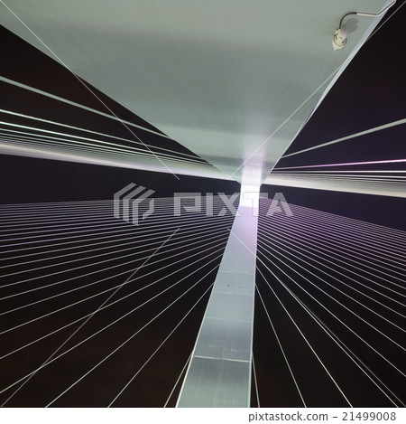 Night cable-stayed bridge Close 21499008