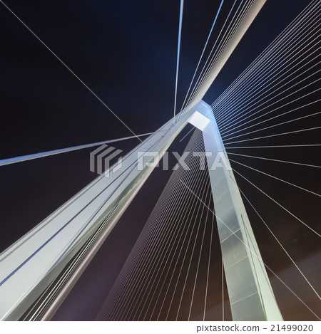 Night cable-stayed bridge Close 21499020