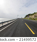 Ocean Road 21499572