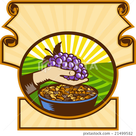 Hand Holding Grapes Raisins Crest Woodcut Hand Holding Grapes Raisins Crest Woodcut 21499582