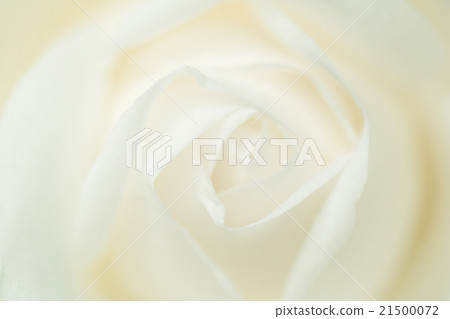 花特寫鏡頭背景材料 21500072