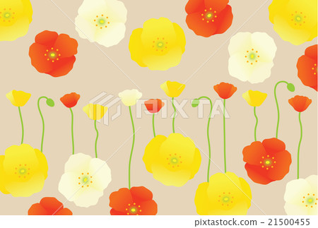 罌粟 罌粟 21500455