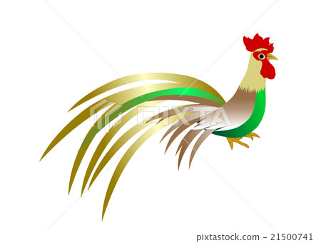 Rooster New Year's card material Onagadori Rooster New Year's card material Onagadori 21500741
