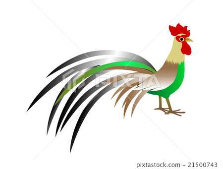 公雞新年的卡材料Onagadori 21500743