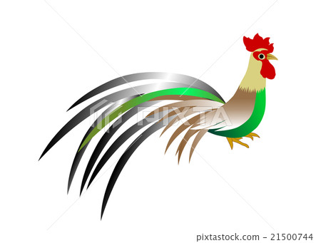 Rooster New Year's card material Onagadori Rooster New Year's card material Onagadori 21500744