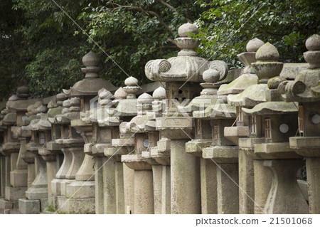 Shishimizu-Hachimangu Shrine的石燈籠籠子組 21501068