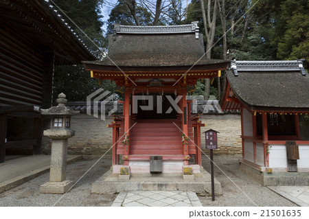 Iwashimizu Hachimangu的Sumiyoshi公司 Iwashimizu Hachimangu的Sumiyoshi公司 21501635