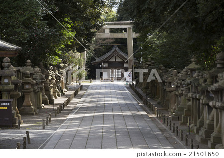 Shishimizu-Hachimangu Shrine的石燈籠籠子組 21501650